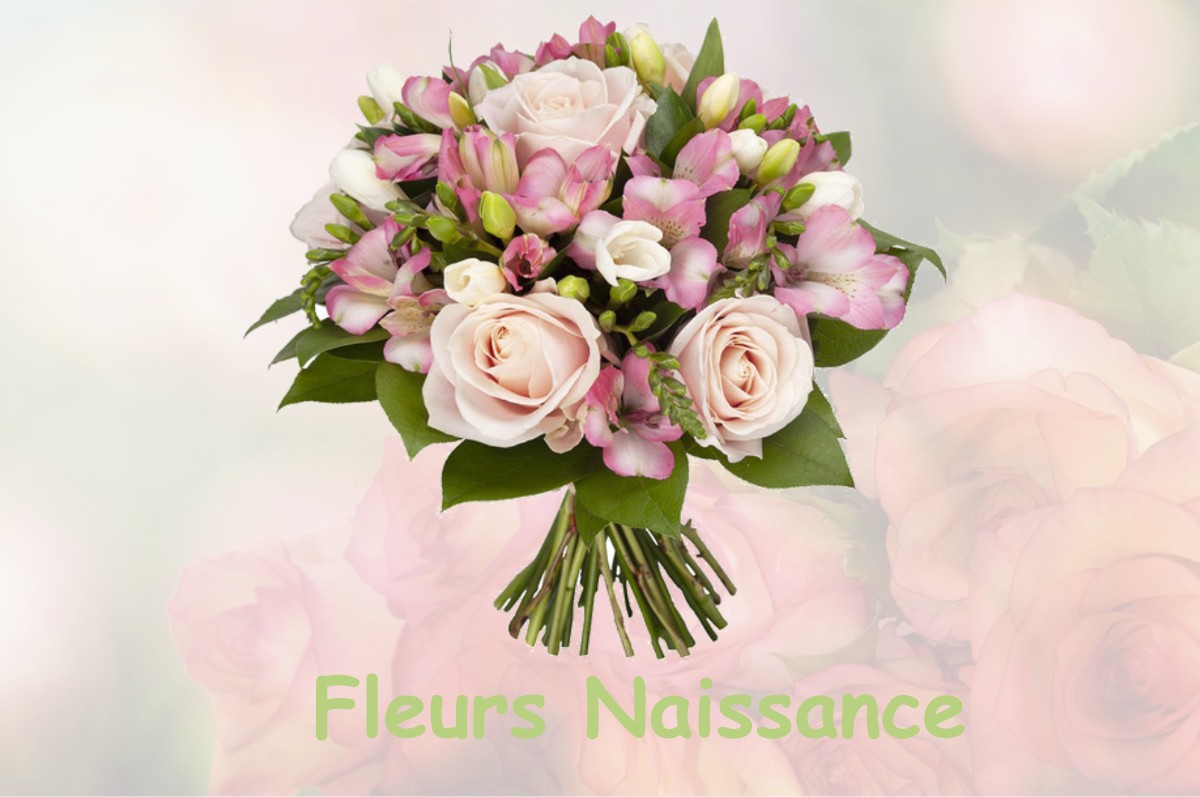 fleurs naissance NEAUFLES-AUVERGNY
